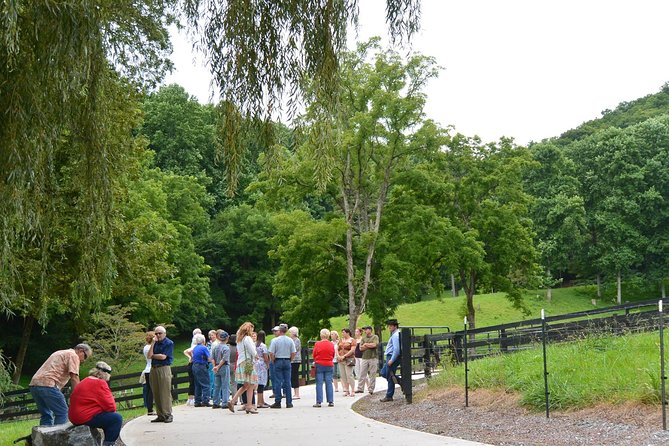 Private Walking Tour of a Real Working Cattle Ranch - The Farm Store and Premium Black Angus Beef