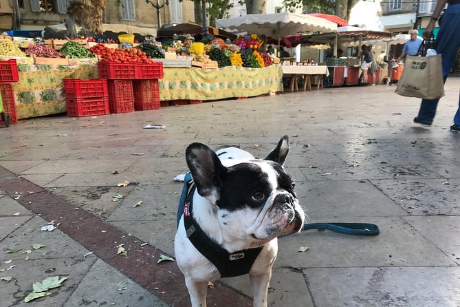 Provençal Farmers market tour - What the tasting menu adds
