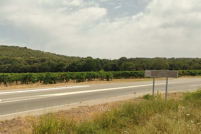 Provençal Morning Farmers Market & Food Discovery Tour - Who should book this experience