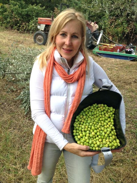 Provence Olive Harvest - Getting to Les Pastras near Cadenet