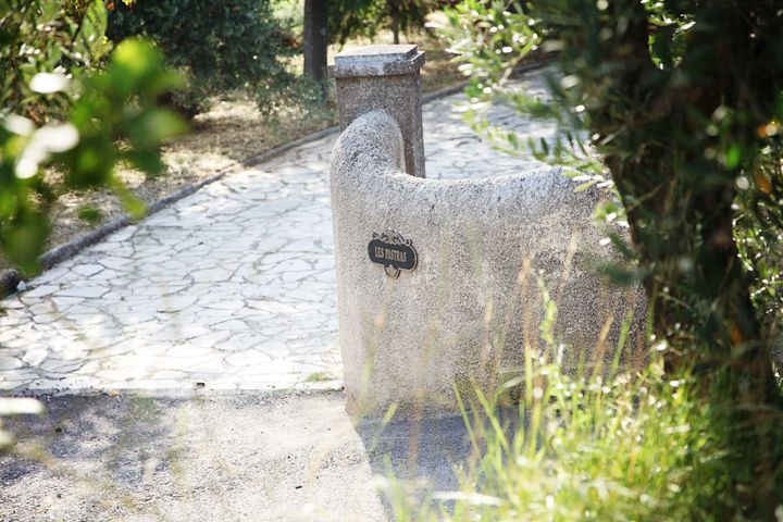Provence Olive Harvest - The 10:30 walk through trees, vines, and herbs