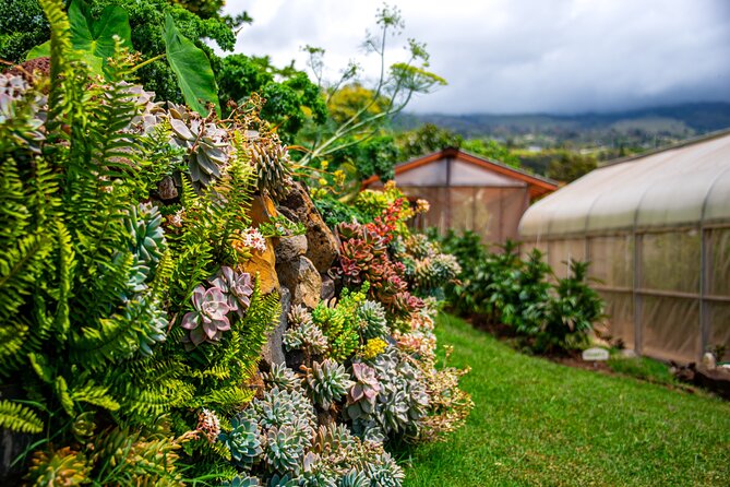 Pueo Farm Tour (1.5 hr) Upcountry Kula Maui Hawaii - The coconut tasting is the tour’s most memorable bite