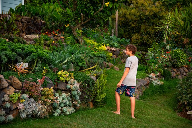Pueo Farm Tour (1.5 hr) Upcountry Kula Maui Hawaii - Regenerative farming in plain terms