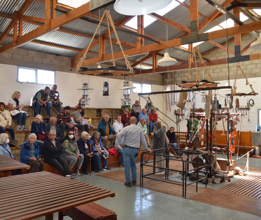 Punta Loma + Ranch Shore Excursion for cruise passengers - Why this Puerto Madryn shore trip works well