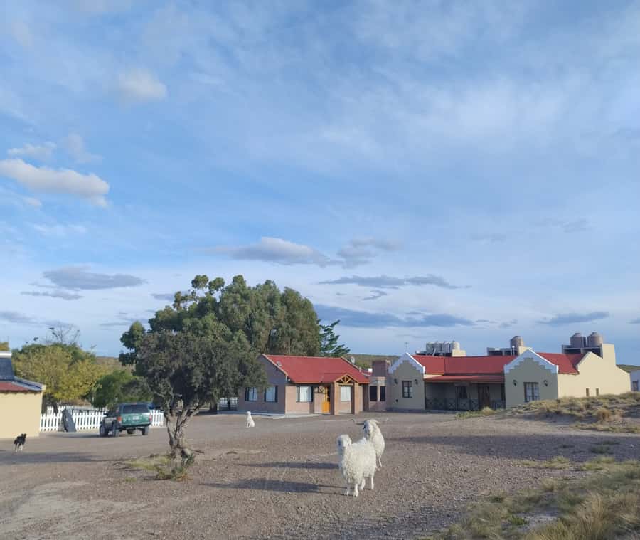 Punta Loma + Ranch Shore Excursion for cruise passengers - Lamb empanada and goulash for lunch