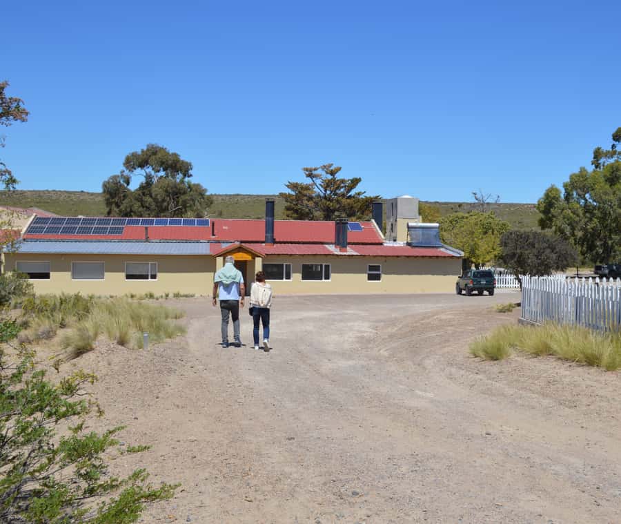 Punta Loma + Ranch Shore Excursion for cruise passengers - Meeting your guide outside Piedrabuena Pier