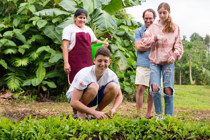 Pura Vida Cooking Class in La Fortuna (From farm to table) - Walking the Farm and Choosing the Ingredients