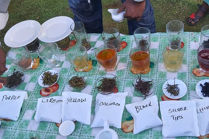 Purple Tea Farm Tour from Nairobi City - Specialty Tea Tasting - Buying Kenyan tea straight from the farm