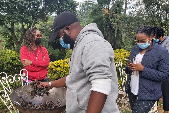 Purple Tea Farm Tour from Nairobi City - Specialty Tea Tasting - Who should book this experience?