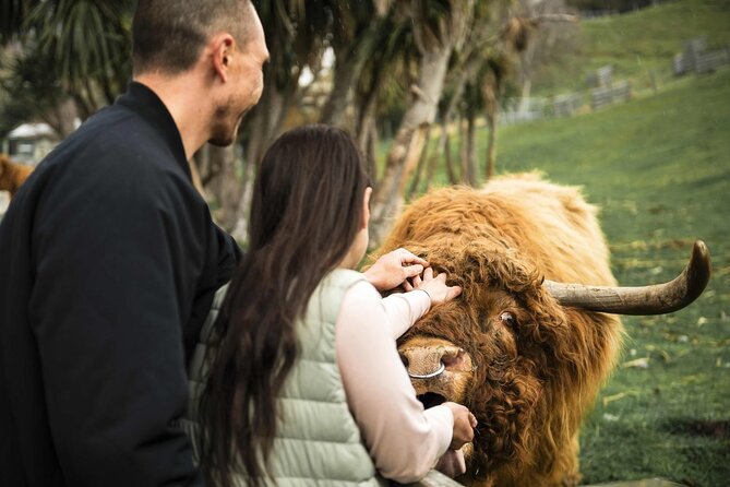 Queenstown Lake Cruise and Walter Peak Farm Adventure - Five things to know before you book