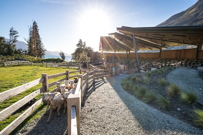 Queenstown Lake Cruise and Walter Peak Farm Adventure - Afternoon tea beside the lake