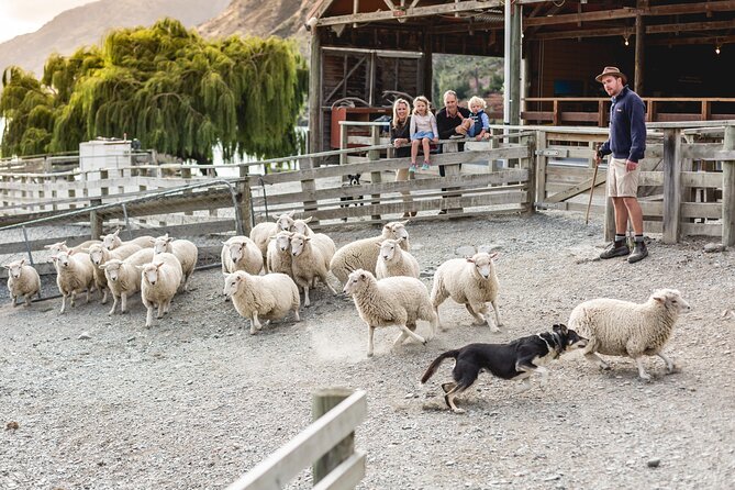 Queenstown Lake Cruise and Walter Peak Farm Adventure - How the three-and-a-half-hour schedule feels