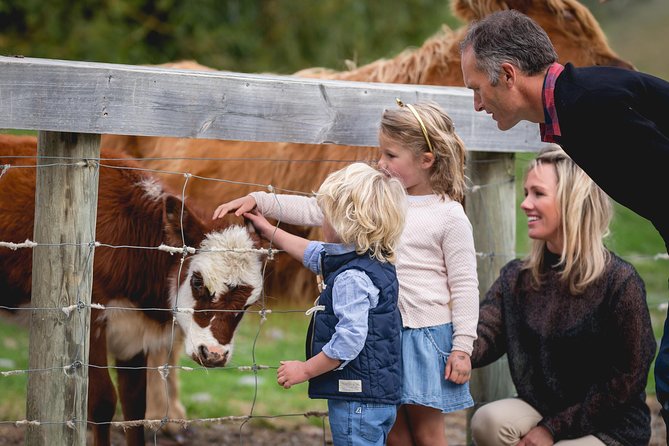 Queenstown Lake Cruise and Walter Peak Farm Adventure - Is $83.78 good value?