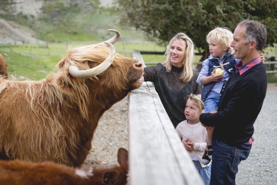 Queenstown: Queenstown Lake Cruise and Walter Peak Farm Tour - Sheep Shearing and the Farm Show