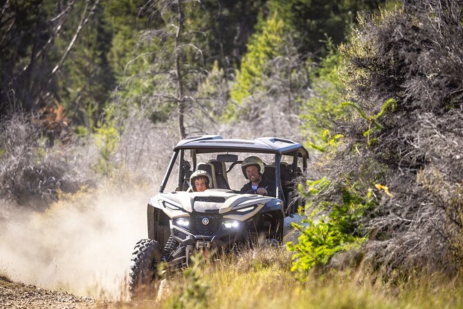 Queenstown: Walter Peak Farm Tour and Lake Cruise - Morning tea, afternoon tea, and the old woolshed