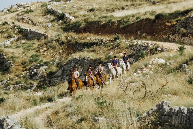 Ranch 22 Podstrana, " Horse riding 12 km from SPLIT " - From Split to the hills above Podstrana