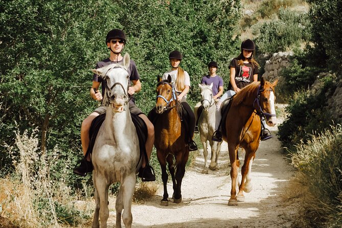 Ranch 22 Podstrana, " Horse riding 12 km from SPLIT " - Wine, cheese, bread, and a slower finish