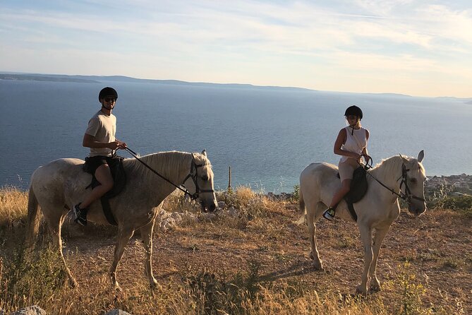 Ranch 22 Podstrana, " Horse riding 12 km from SPLIT " - Where expectations need adjusting