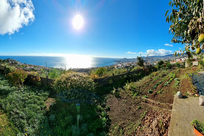 "Re-Canto" Farm-to-Table with Stunning Views at Madeira - Four courses, with espetada at the center