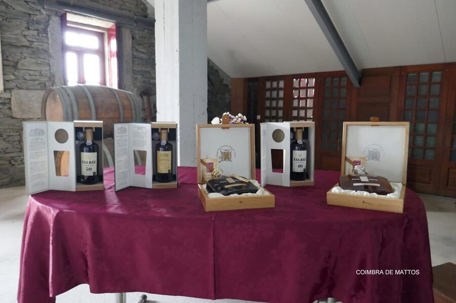 Régua: Wine Tasting at a Farm, Traditional Lunch, Cruise and Train - Tasting five wines at Coimbra de Mattos