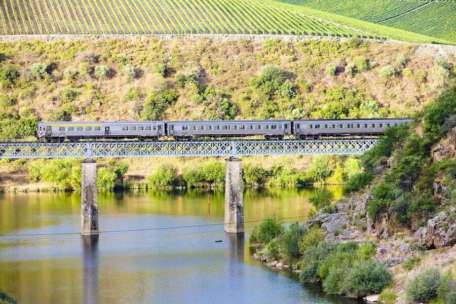 Régua: Wine Tasting at a Farm, Traditional Lunch, Cruise and Train - A traditional meal at Quinta da Laceira