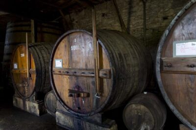 Régua: Wine Tasting at a Farm, Traditional Lunch, Cruise and Train