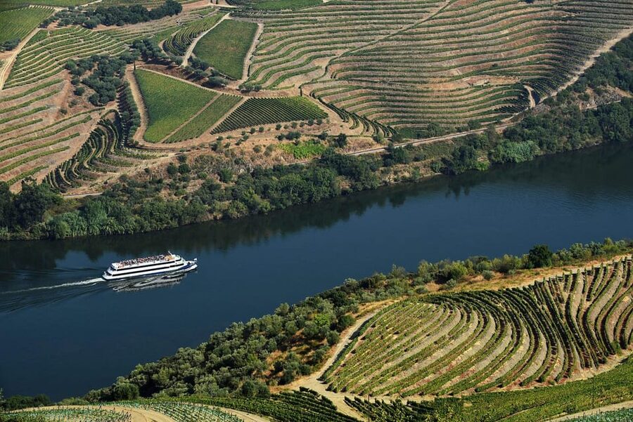 Régua: Wine Tasting at a Farm, Traditional Lunch, Cruise and Train - Is $125 a fair price?