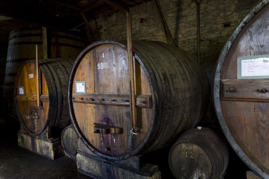 Régua: Wine Tasting at a Farm, Traditional Lunch, Cruise and Train - São Leonardo de Galafura and the Miguel Torga connection