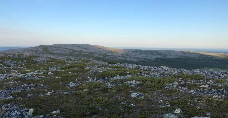 Reindeer Farm Visit & Wilderness Fell Adventure - Booking flexibility and practical details