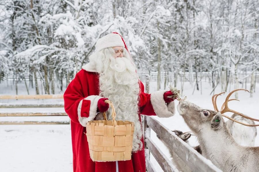 Reindeer Farm Visit with Sleigh Ride - What the guide adds