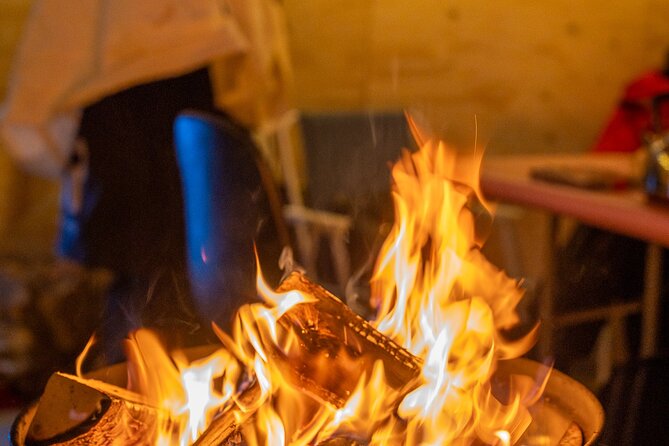 Reindeer Sledding, Feeding And Sami Culture At Reindeer Farm - Key points to know before booking