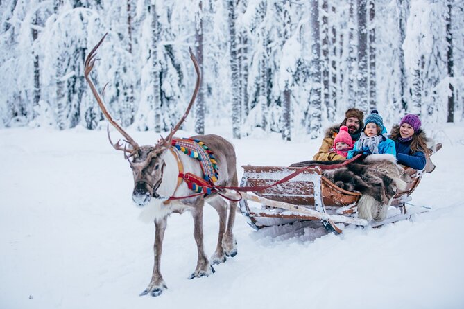 Reindeer Sleigh Ride and Farm Experience from Rovaniemi - Meeting the reindeer outside Rovaniemi