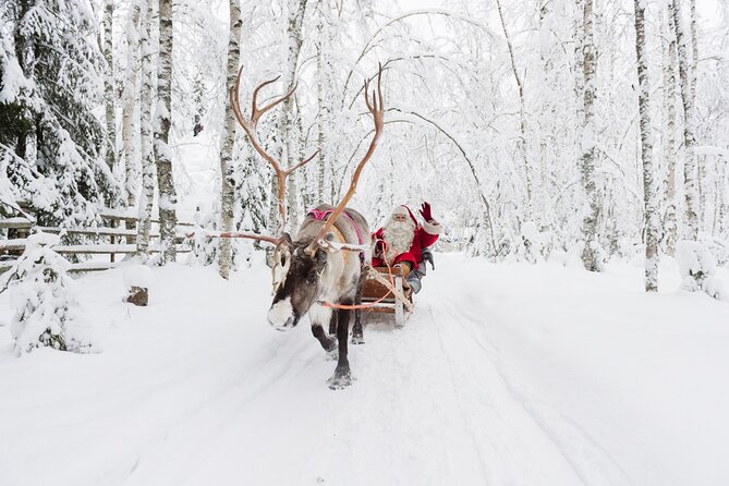 Reindeer Sleigh Ride and Farm Experience from Rovaniemi - Feeding, touching, and learning at the farm