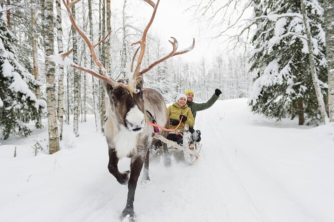 Reindeer Sleigh Ride and Farm Experience from Rovaniemi - Is $142.97 fair for this experience?