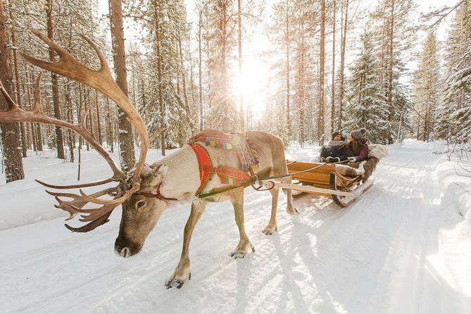 Reindeer Sleigh Ride and Farm Experience from Rovaniemi - Who will enjoy this Rovaniemi farm visit?