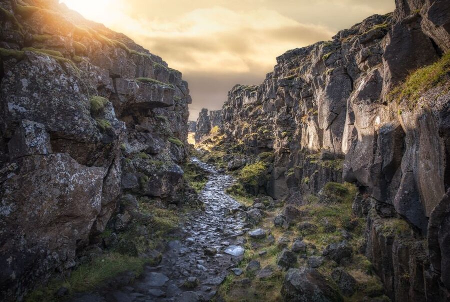 Reykjavik: Golden Circle, Silfra Snorkeling, and Farm Lunch - Is $406 a fair price?