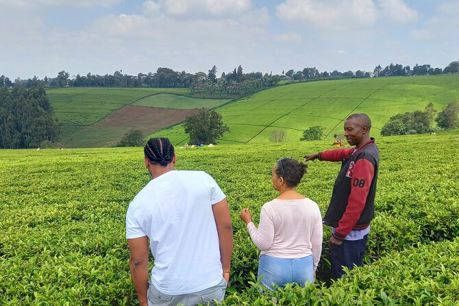 Riara tea farm tour with lunch and tea tasting from Nairobi - What Makes This Tour Worth Considering