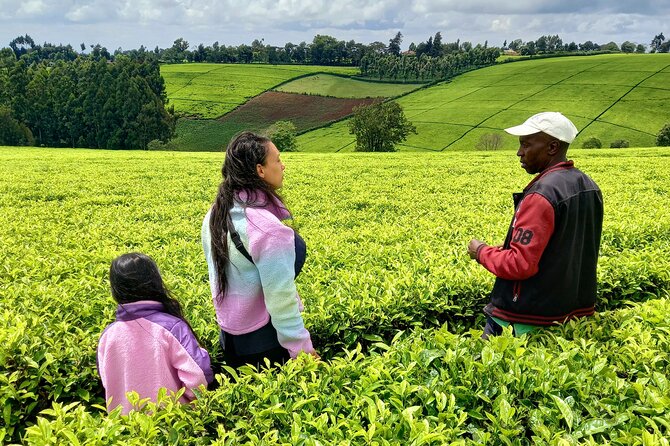 Riara tea farm tour with lunch and tea tasting from Nairobi - Lunch and the Tea Tasting