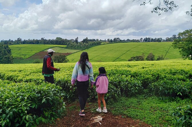 Riara tea farm tour with lunch and tea tasting from Nairobi - Cancellation and Planning Details