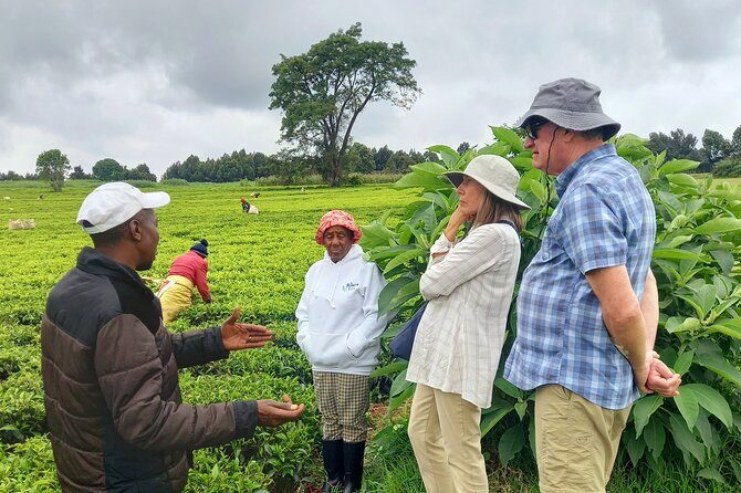 Riara tea farm tour with lunch and tea tasting from Nairobi - Arriving at Riara Tea Farm in Limuru