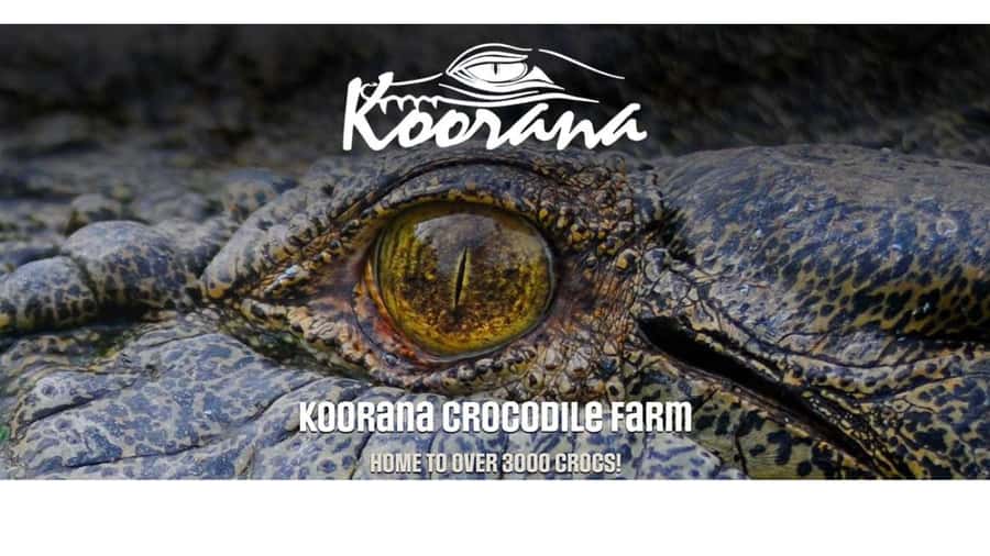 Rockhampton: Koorana Crocodile Farm Guided Tour - Why Koorana Crocodile Farm is worth your time