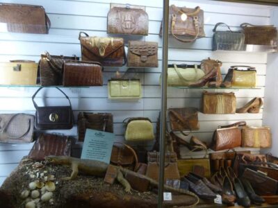 Rockhampton: Koorana Crocodile Farm Guided Tour