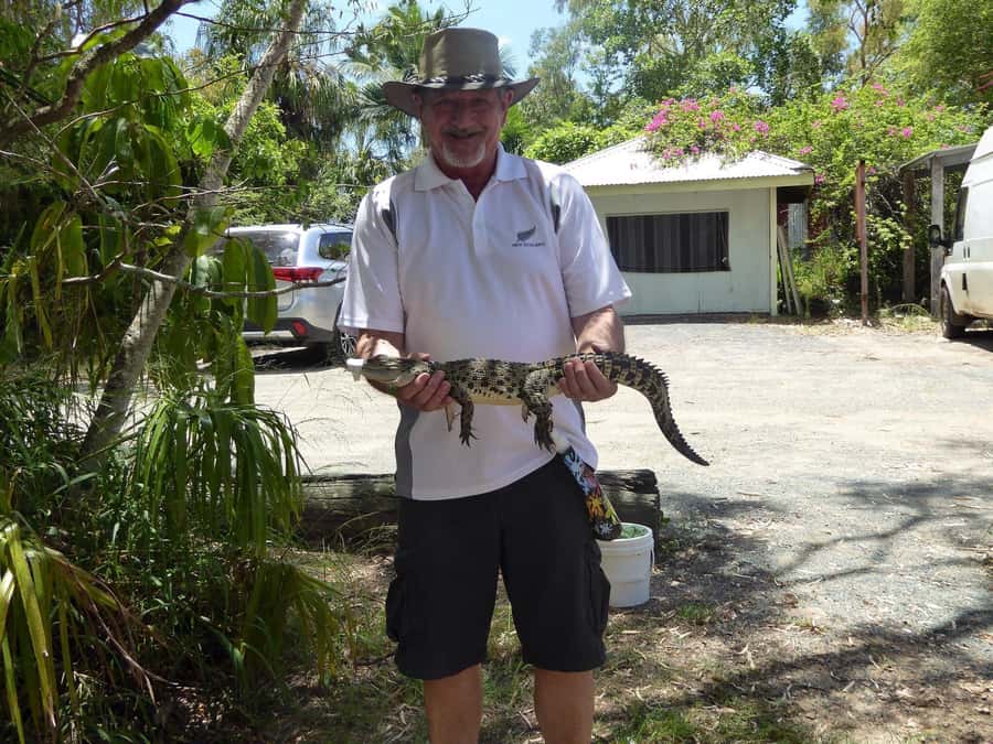 Rockhampton: Koorana Crocodile Farm Guided Tour - Eggs, nest raids, and baby crocodile hatching