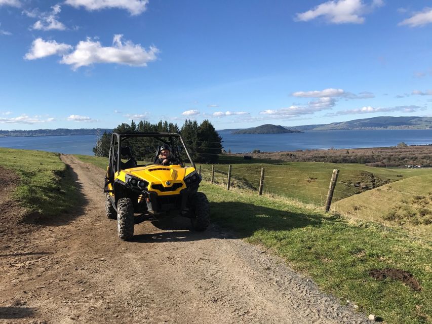 Rotorua: 4×4 Self-Drive Buggy Tour Through Farm and Bushland - Scenic lookouts make the hour more than a driving exercise