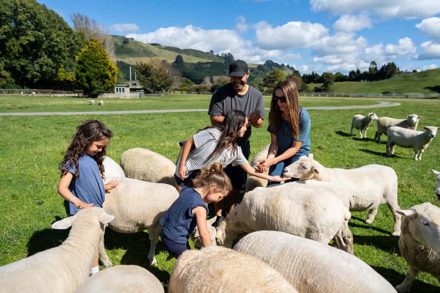 Rotorua: Authentic Kiwi Farm Experience at the Agrodome - Should you book the Agrodome experience?