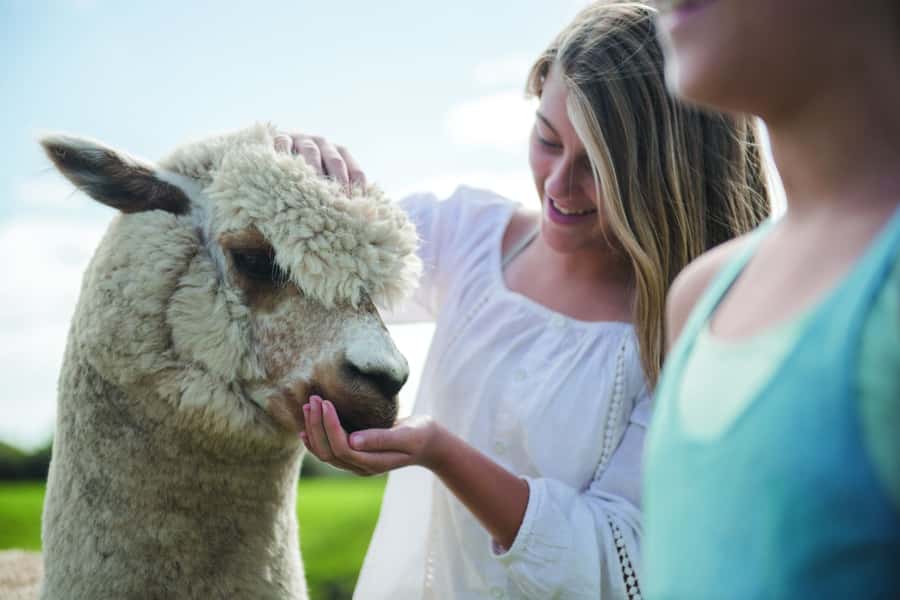 Rotorua: Authentic Kiwi Farm Experience at the Agrodome - What the farm experience teaches you about New Zealand