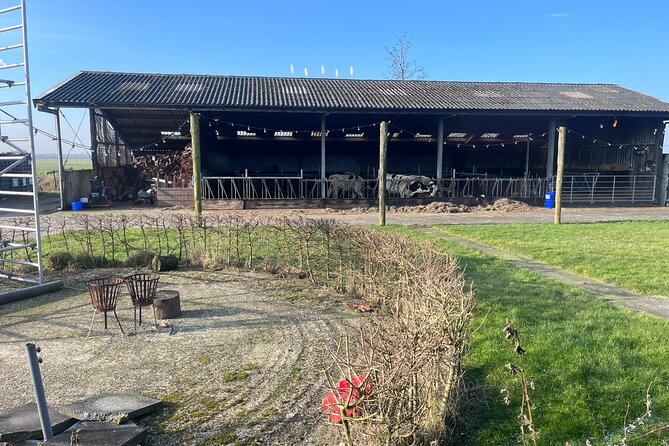 Rotterdam- Kinderdijk -Cheese Farm Experience min 4 max 100 PP - Why This Pairing Works So Well