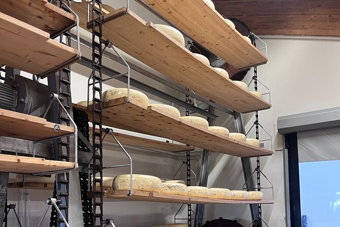 Rotterdam- Kinderdijk -Cheese Farm Experience min 4 max 100 PP - Who Will Enjoy This Experience Most?