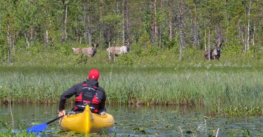 Rovaniemi: Authentic Reindeer Farm & Canoeing - A four-hour outing with two very different halves