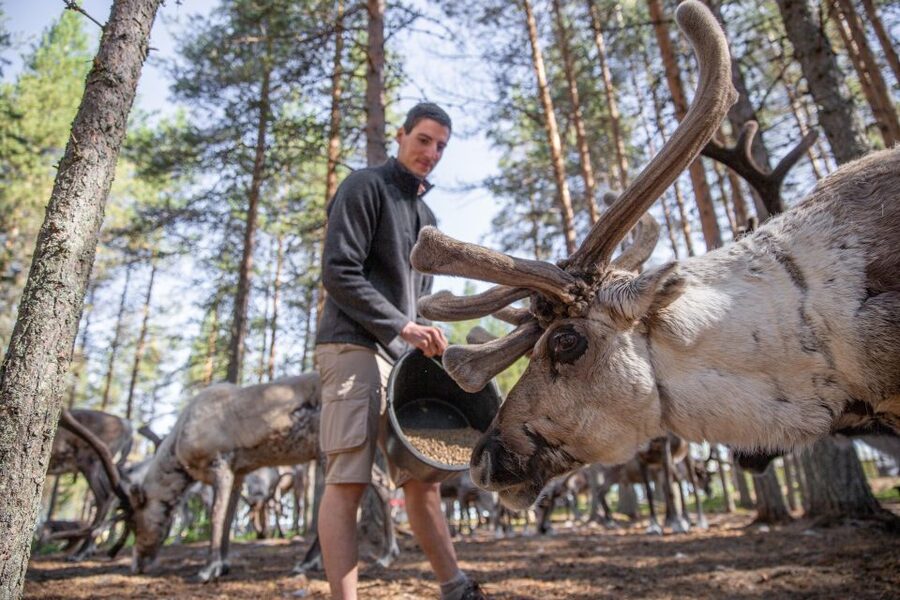 Rovaniemi: Authentic Reindeer Farm & Canoeing - The guide makes a large difference